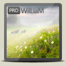 Аватар WilLiaM2262